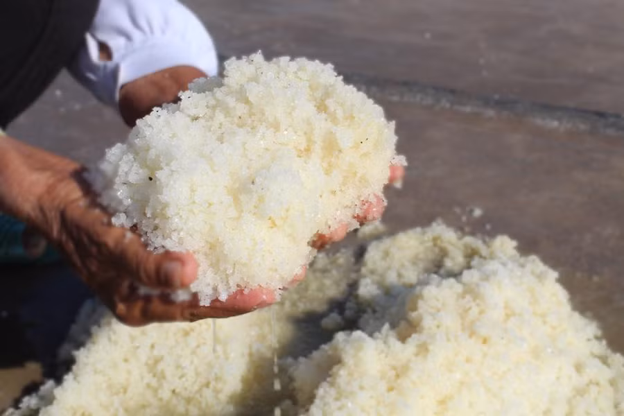 Những hạt muối no tròn, lấp lánh – thảnh quả của một ngày lao động mệt nhọc của diêm dân. Những hạt muối no tròn, lấp lánh – thảnh quả của một ngày lao động mệt nhọc của diêm dân.