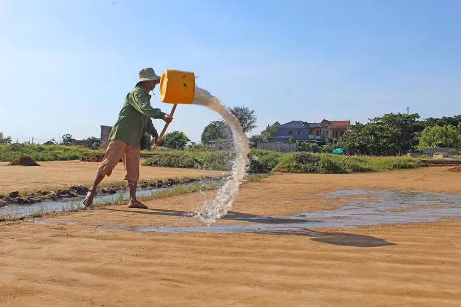 Tưới nước dẫn từ kênh lên nền đất và cát để hạn chế cát bị khô, tăng độ thấm lọc cho nước muối. Tưới nước dẫn từ kênh lên nền đất và cát để hạn chế cát bị khô, tăng độ thấm lọc cho nước muối.