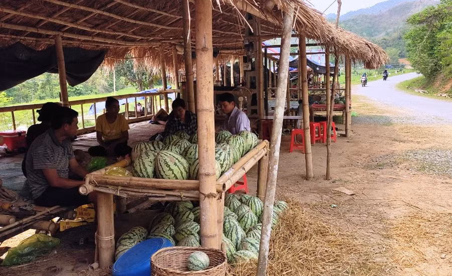 Người dân ở bản Sáng, xã Quang Chiểu, huyện Mường Lát (Thanh Hóa) dựng lều để bán dưa hấu ở ven đường. (Ảnh: TL) Người dân ở bản Sáng, xã Quang Chiểu, huyện Mường Lát (Thanh Hóa) dựng lều để bán dưa hấu ở ven đường. (Ảnh: TL)