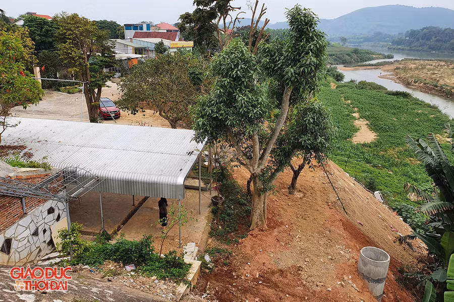 Phía trên khu đất trồng nhiều cây cảnh.