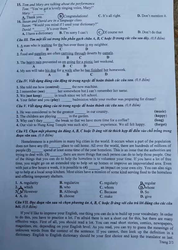 Đề Tiếng Anh trang 2 (Đề do thí sinh cung cấp)