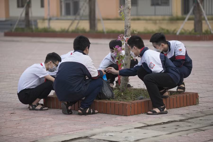 Trường THCS Quán Bàu (TP Vinh, Nghệ An) chính thức mở cửa sau 3 tháng dạy học trực tuyến. Buổi học đầu tiên, các em học sinh đến trường từ sớm, dành thời gian quét dọn sân trường, nhặt rác ở các bồn hoa để khuôn viên xanh sạch đẹp.