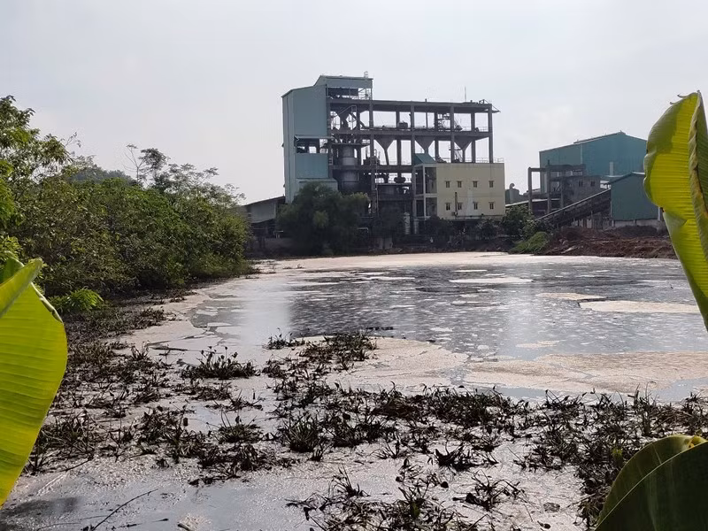 Hồ chứa nước thải của Công ty CP Prime Vĩnh Phúc bốc mùi hôi thối.