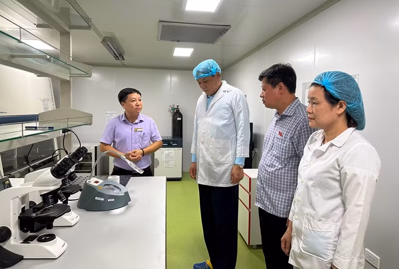 Đoàn giám sát thực tế tại Trường CĐ Công nghiệp Thực phẩm.