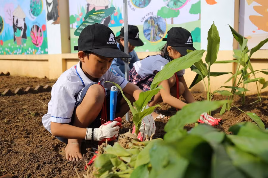 Trồng cây xanh góp phần bảo vệ môi trường, phòng chống thiên tai. Ảnh: Thế Đại