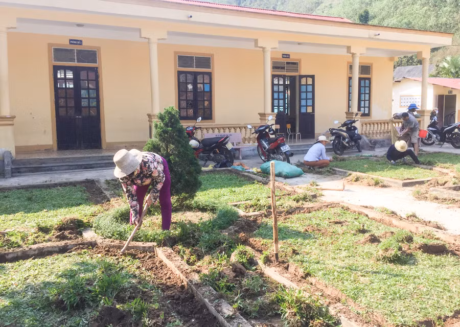 Phụ huynh tham gia trồng và chăm sóc các khóm cây bụi làm đẹp cảnh quan, khuôn viên trường