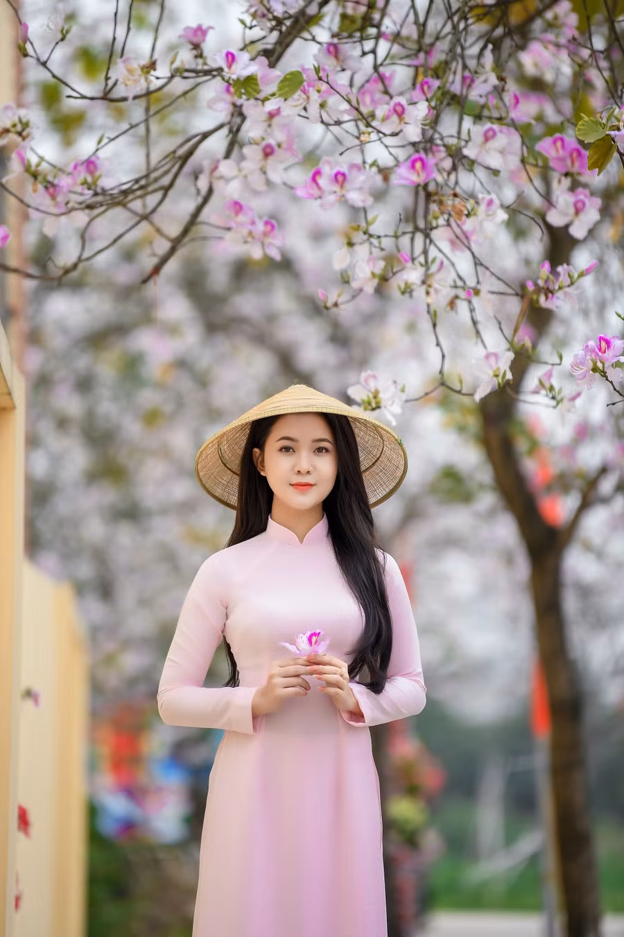Hoa Khôi Trí tuệ Nhan sắc 2022.