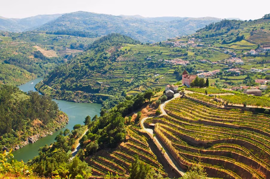 Thung lũng Douro ở phía Bắc Bồ Đào Nha. Thung lũng Douro ở phía Bắc Bồ Đào Nha.
