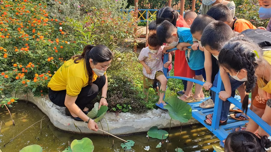 Cô giáo giới thiệu các loại cây, con vật trong vườn trường cho trẻ.