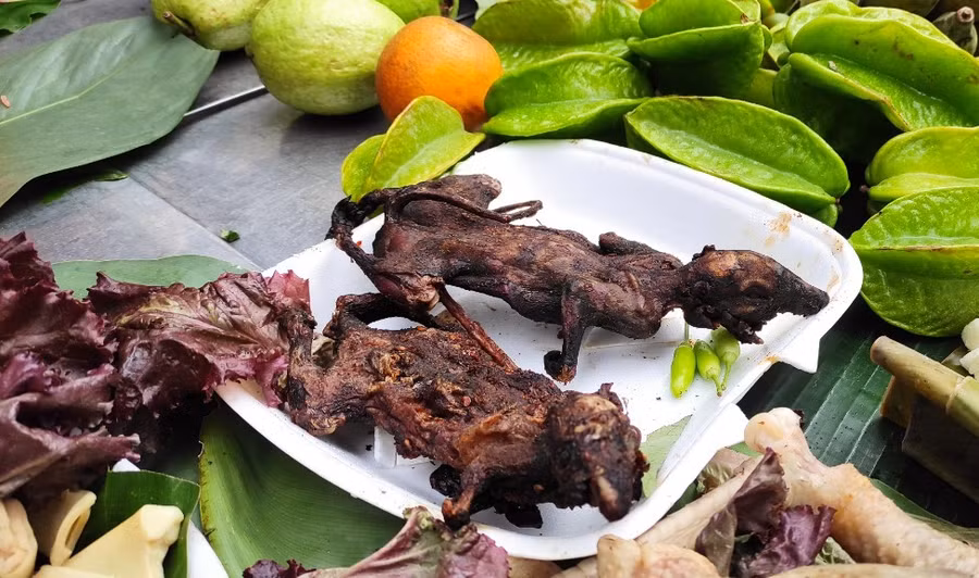 Sóc nướng. Sóc nướng.
