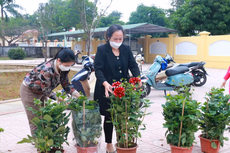 TP Vinh là địa phương muộn nhất của Nghệ An cho học sinh đi học trực tiếp trở lại. Từ thời điểm khai giảng năm học 2021-2022 đến nay, khối tiểu học và lớp 6, 7, 8 học trực tuyến. Sau 4 tháng xa cách, các thầy cô giáo còn trang trí trường lớp bằng hoa cây cảnh, hoa tươi... tạo niềm vui cho học trò trong ngày "tựu trường" đặc biệt.