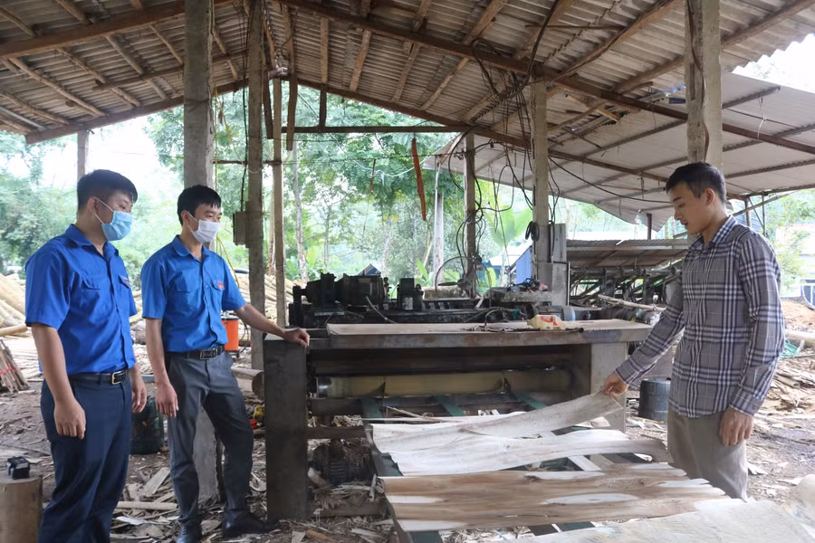 Triển khai mô hình xưởng làm gỗ bóc, anh Cường được vay vốn với lãi suất ưu đãi từ dự án chương trình 120