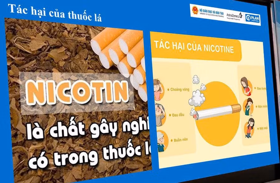 thuoc-la-4.jpg