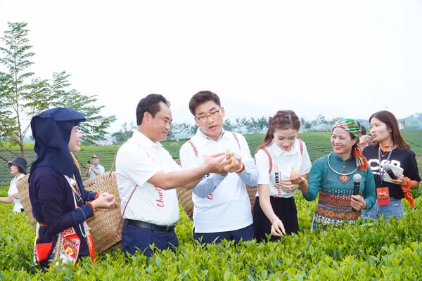 Bộ trưởng Bộ Nông nghiệp và Môi trường Trịnh Việt Hùng, nguyên Bí thư Tỉnh ủy, nguyên Chủ tịch UBND tỉnh Thái Nguyên, cùng Ông Park Sungho, Tổng Giám đốc Công ty Samsung điện tử Việt Nam tại Thái Nguyên và Bắc Ninh trải nghiệm vùng chè La Bằng, năm 2024.