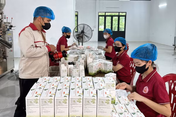 HTX Nông nghiệp Tiên Phong tạo việc làm thường xuyên cho gần 20 lao động địa phương,