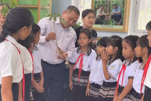 Học sinh Đà Nẵng vui hội khai trường, tự tin bước vào năm học mới