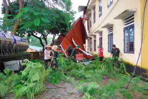 Ảnh minh họa.
