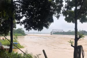 Cầu Phong Châu (Phú Thọ) bị sập 2 nhịp dàn chính của cầu (nhịp 6 và nhịp 7) ngày 9/9/2024.