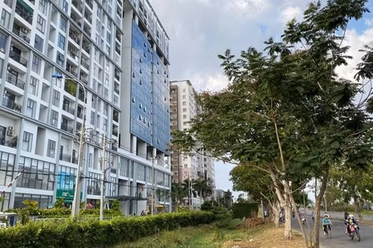 HoREA đề xuất luật hóa nhà ở thương mại 'vừa túi tiền'