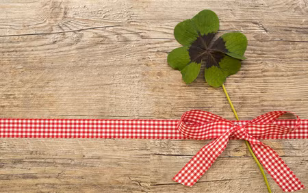 Tử vi 12 con giáp ngày 17/4: 3 con giáp vận đỏ như son, làm gì cũng dễ gặp may