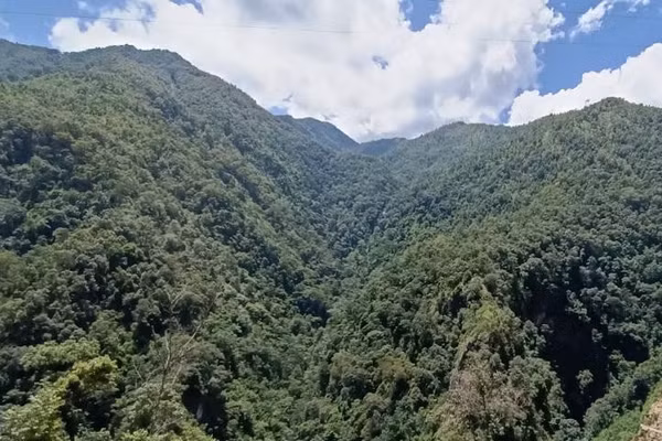 Rừng đặc dụng ở khu vực biên giới Sơn La luôn giữ màu xanh bạt ngàn.