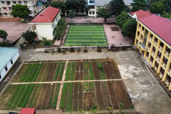 Việc trồng rau giúp học sinh cảm nhận được thành quả lao động của mình.
