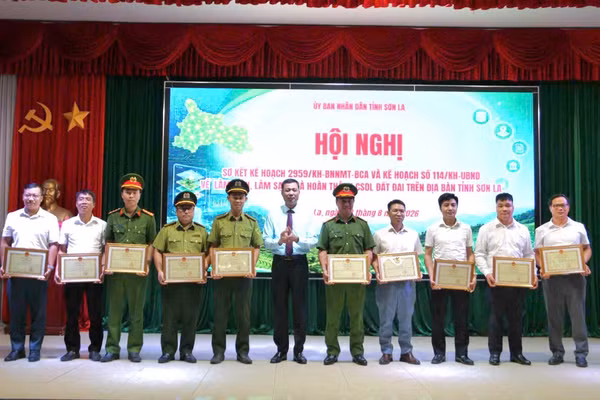 Ông Nguyễn Thành Công, Phó Chủ tịch UBND tỉnh Sơn La chuyển trao Bằng khen cho các cá nhân có thành tích xuất sắc.