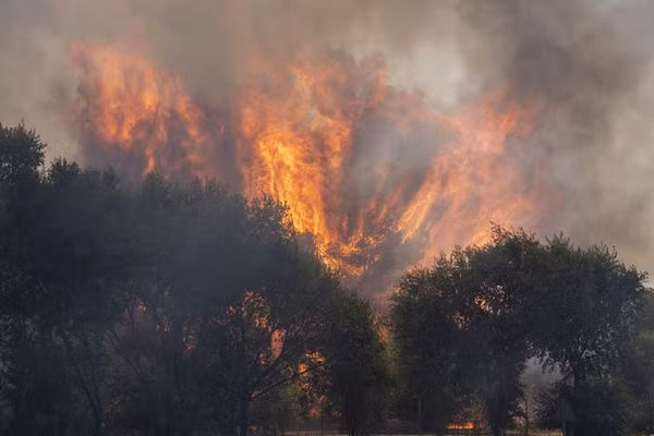 Một đám cháy rừng bùng phát trên đường M 206 gần Madrid, Tây Ban Nha, ngày 23/7/2026.