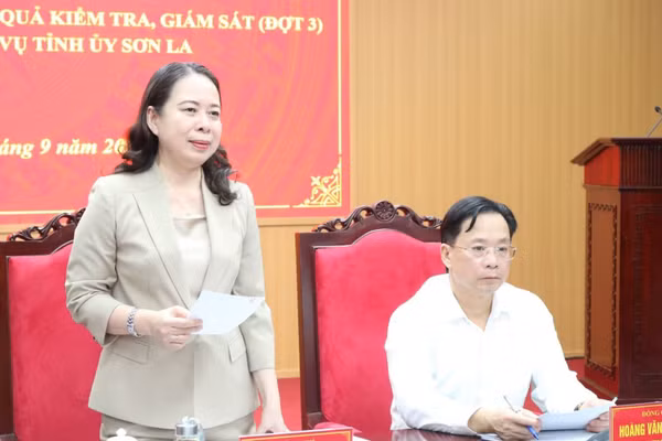 Phó Chủ tịch nước Võ Thị Ánh Xuân phát biểu.