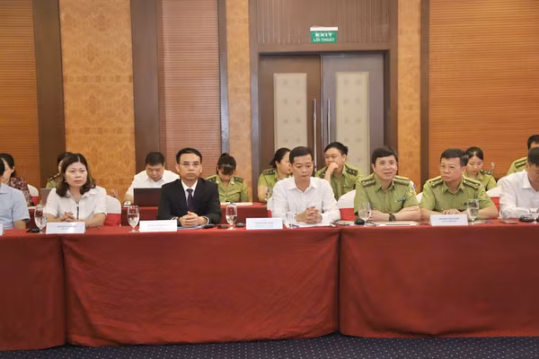 Các đại biểu tham dự hội nghị.