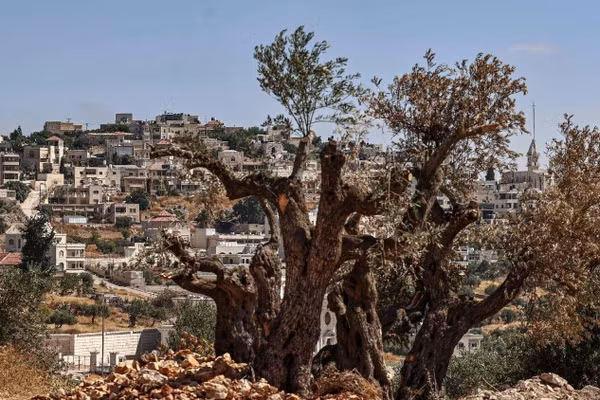 Làng Taybeh của người Palestine.