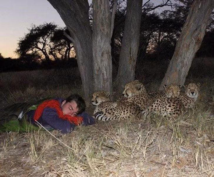 19 Strange Sights That Will Make Anyone Raise an Eyebrow