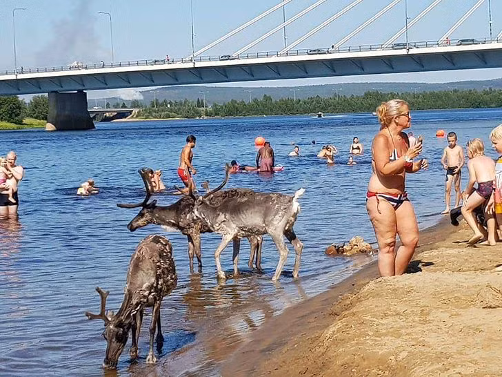 20&nbsp;Pictures Proving Hot Weather Gets Even to&nbsp;the Best of&nbsp;Us