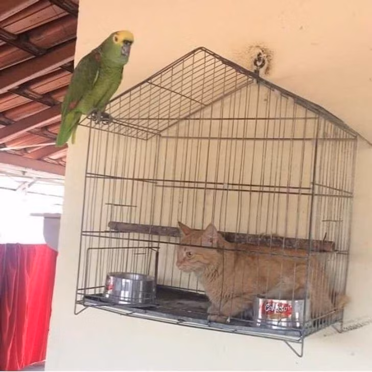 19 Strange Sights That Will Make Anyone Raise an Eyebrow