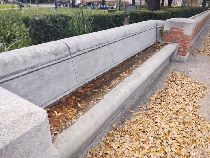 20 People Who Made Us Wonder If They Should Go Back to Design School