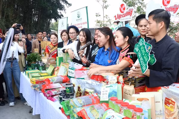 Giảm nghèo giai đoạn 2026–2035: Đẩy mạnh ứng dụng công nghệ cao, chuyển đổi số