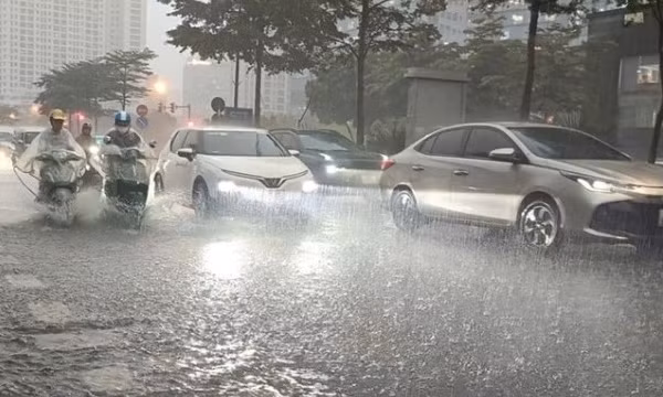 Mưa lớn, dông lốc khiến hơn 400ha lúa và hoa màu bị ngập