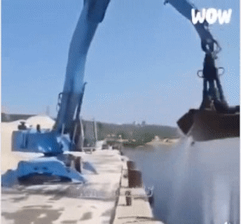 Những hình ảnh hài hước trong ngày