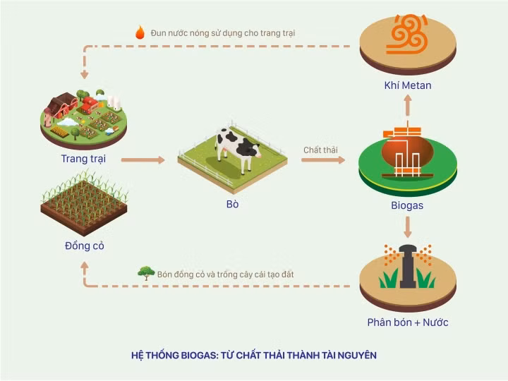 Vinamilk dẫn đầu Top 100 doanh nghiệp bền vững Việt Nam năm 2020 - 2