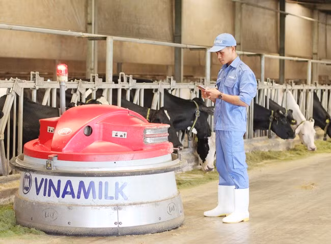 Vinamilk lần thứ 3 liên tiếp được bình chọn là nơi làm việc tốt nhất Việt Nam ảnh 5