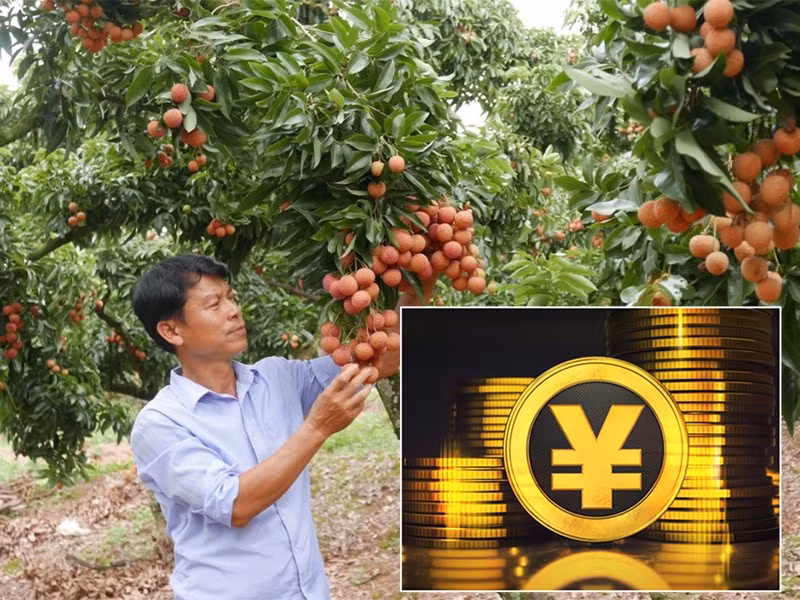 Tiền số Trung Quốc sẽ tác động đến doanh nghiệp Việt ảnh 1