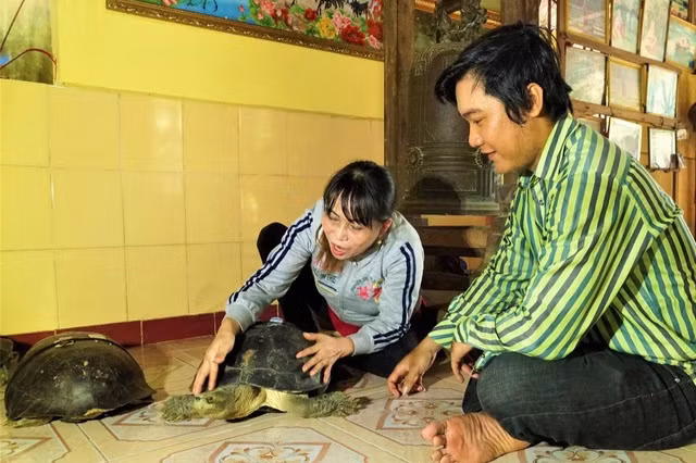 Du khách đến tham quan có thể thoải mái ẵm bồng, vuốt ve các cụ rùa (Ảnh: Bảo Kỳ).