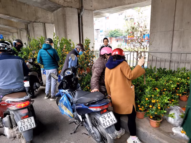 Khách mua đào quất chủ yếu chọn cành nhỏ với giá giao động trên dưới 100.000 đồng. Chợ đào quất ế ẩm ngày cận Tết, tiểu thương ngán ngẩm bán đồng giá