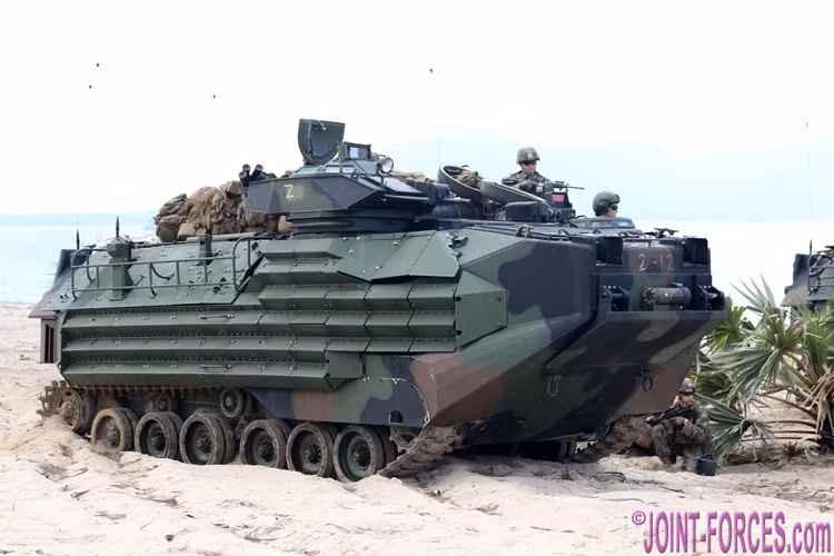 00-AAV-GobraGold-07.jpg