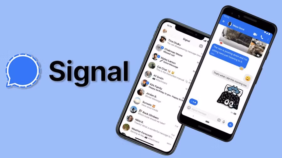 116213565-signal.jpg